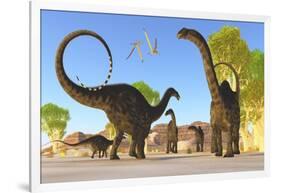 Herd of Apatosaurus Dinosaurs Wander Through a Prehistoric Forest-null-Framed Art Print