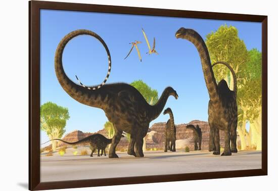 Herd of Apatosaurus Dinosaurs Wander Through a Prehistoric Forest-null-Framed Art Print