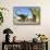 Herd of Apatosaurus Dinosaurs Wander Through a Prehistoric Forest-null-Framed Stretched Canvas displayed on a wall