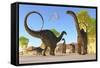 Herd of Apatosaurus Dinosaurs Wander Through a Prehistoric Forest-null-Framed Stretched Canvas