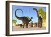 Herd of Apatosaurus Dinosaurs Wander Through a Prehistoric Forest-null-Framed Art Print