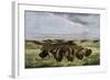 Herd of Bison Crossing a River Bottom on the Great Plains-null-Framed Giclee Print