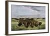 Herd of Bison Crossing a River Bottom on the Great Plains-null-Framed Giclee Print