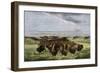 Herd of Bison Crossing a River Bottom on the Great Plains-null-Framed Giclee Print