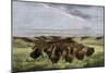 Herd of Bison Crossing a River Bottom on the Great Plains-null-Mounted Giclee Print