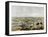 Herd of Bison Near Lake Jessie, North Dakota, USA, 1856-John Mix Stanley-Framed Stretched Canvas