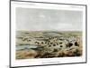 Herd of Bison Near Lake Jessie, North Dakota, USA, 1856-John Mix Stanley-Mounted Giclee Print