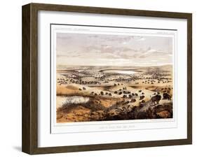 Herd of Bison Near Lake Jessie-Thomas H. Ford-Framed Giclee Print