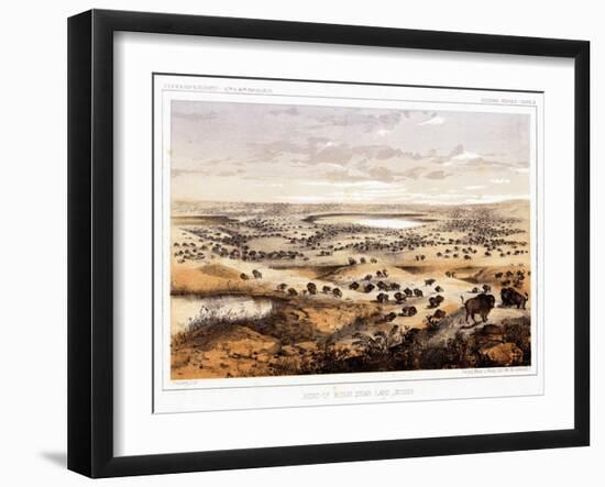 Herd of Bison Near Lake Jessie-Thomas H. Ford-Framed Giclee Print