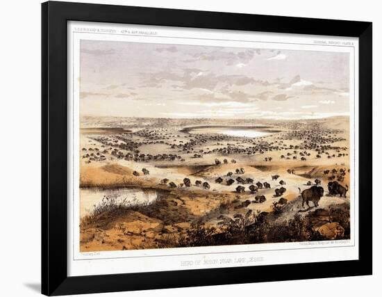 Herd of Bison Near Lake Jessie-Thomas H. Ford-Framed Giclee Print