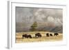 Herd of Bison Near Old Faithful Geyser Upper Geyser Basin, Yellowstone National Park, Wyoming-Adam Jones-Framed Photographic Print