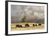 Herd of Bison Near Old Faithful Geyser Upper Geyser Basin, Yellowstone National Park, Wyoming-Adam Jones-Framed Photographic Print