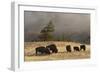 Herd of Bison, Old Faithful Geyser Upper Geyser Basin, Yellowstone National Park, Wyoming-Adam Jones-Framed Photographic Print