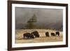 Herd of Bison, Old Faithful Geyser Upper Geyser Basin, Yellowstone National Park, Wyoming-Adam Jones-Framed Photographic Print