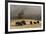 Herd of Bison, Old Faithful Geyser Upper Geyser Basin, Yellowstone National Park, Wyoming-Adam Jones-Framed Photographic Print