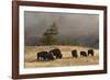 Herd of Bison, Old Faithful Geyser Upper Geyser Basin, Yellowstone National Park, Wyoming-Adam Jones-Framed Photographic Print