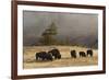 Herd of Bison, Old Faithful Geyser Upper Geyser Basin, Yellowstone National Park, Wyoming-Adam Jones-Framed Photographic Print