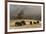 Herd of Bison, Old Faithful Geyser Upper Geyser Basin, Yellowstone National Park, Wyoming-Adam Jones-Framed Photographic Print