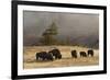 Herd of Bison, Old Faithful Geyser Upper Geyser Basin, Yellowstone National Park, Wyoming-Adam Jones-Framed Photographic Print