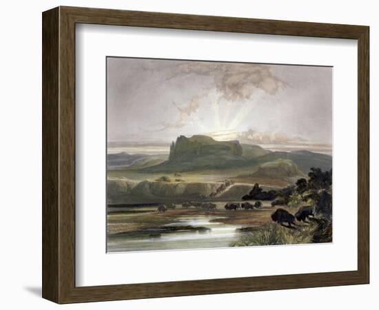 Herd of Bison on the Upper Missouri-Karl Bodmer-Framed Giclee Print