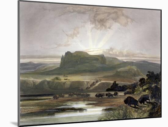 Herd of Bison on the Upper Missouri-Karl Bodmer-Mounted Giclee Print