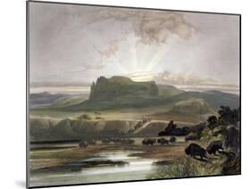Herd of Bison on the Upper Missouri-Karl Bodmer-Mounted Giclee Print