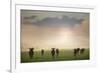 Herd of Blue Wildebeest in Pilanesberg National Park-Jon Hicks-Framed Photographic Print