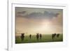 Herd of Blue Wildebeest in Pilanesberg National Park-Jon Hicks-Framed Photographic Print