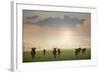 Herd of Blue Wildebeest in Pilanesberg National Park-Jon Hicks-Framed Photographic Print