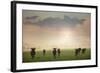 Herd of Blue Wildebeest in Pilanesberg National Park-Jon Hicks-Framed Photographic Print