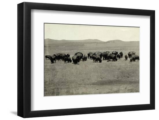 Premium Photographic Print, , large