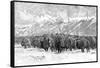 Herd of Buffalo in a Blizzard, 1887-null-Framed Stretched Canvas