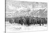 Herd of Buffalo in a Blizzard, 1887-null-Stretched Canvas