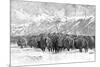 Herd of Buffalo in a Blizzard, 1887-null-Mounted Art Print