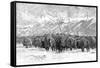Herd of Buffalo in a Blizzard, 1887-null-Framed Stretched Canvas