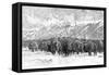 Herd of Buffalo in a Blizzard, 1887-null-Framed Stretched Canvas