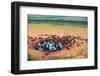 Herd of Buffaloes in Water Hole-Andrzej Kubik-Framed Photographic Print