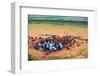 Herd of Buffaloes in Water Hole-Andrzej Kubik-Framed Photographic Print