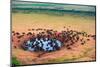 Herd of Buffaloes in Water Hole-Andrzej Kubik-Mounted Photographic Print