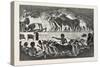 Herd of Cattle Brought before their Owner,From an Egyptian Tomb, Egypt, 1879-null-Stretched Canvas