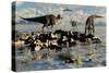 Herd of Corythosaurus Duckbill Dinosaurs Grazing-null-Stretched Canvas