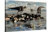 Herd of Corythosaurus Duckbill Dinosaurs Grazing-null-Stretched Canvas