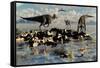 Herd of Corythosaurus Duckbill Dinosaurs Grazing-null-Framed Stretched Canvas