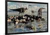 Herd of Corythosaurus Duckbill Dinosaurs Grazing-null-Framed Art Print