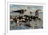 Herd of Corythosaurus Duckbill Dinosaurs Grazing-null-Framed Art Print