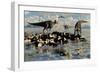 Herd of Corythosaurus Duckbill Dinosaurs Grazing-null-Framed Premium Giclee Print