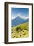 Herd of Cows in the Aosta Valley, Vetan, Aosta Valley, Italian Alps, Italy, Europe-Nico Tondini-Framed Photographic Print