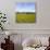 Herd of Cows on Farmland on the West Coast, South Island, New Zealand, Pacific-Matthew Williams-Ellis-Photographic Print displayed on a wall