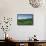 Herd of Dairy Cows Grazing-Jon Hicks-Framed Stretched Canvas displayed on a wall