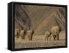 Herd of Desert-Dwelling Elephant, Namibia, Africa-Milse Thorsten-Framed Stretched Canvas